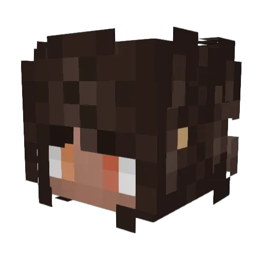 _hexlex_72 Minecraft avatar head, 3D render