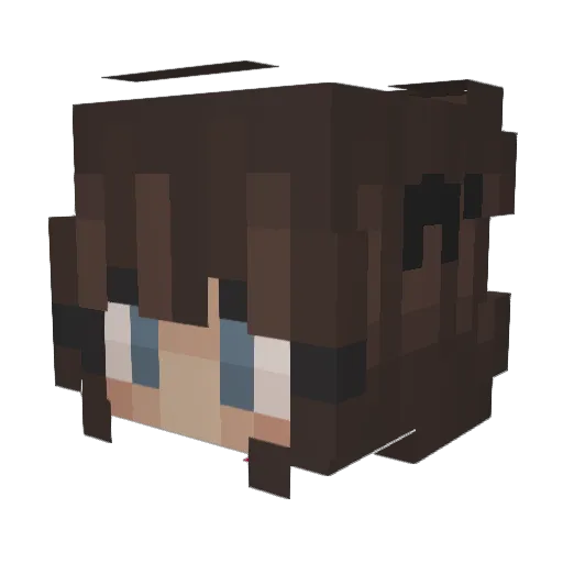 _hgtv_ Minecraft avatar head, 3D render