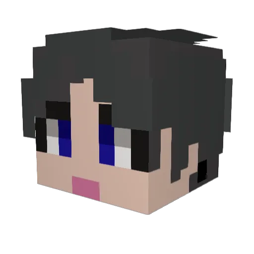 _hippopo Minecraft avatar head, 3D render