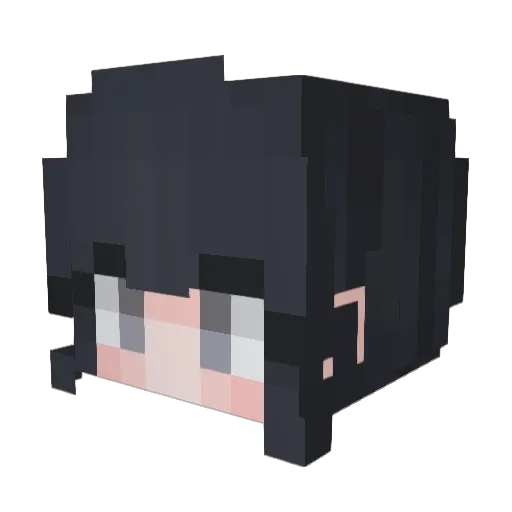 _hjoy_ii Minecraft avatar head, 3D render