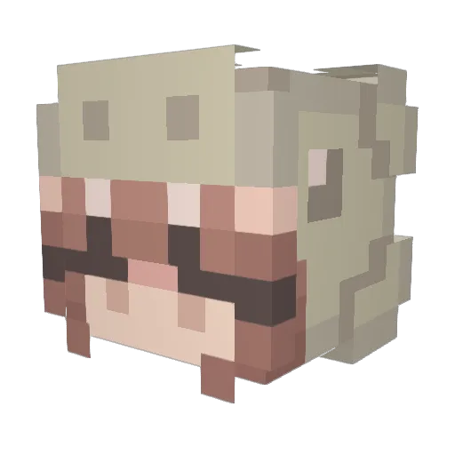 _ho11y Minecraft avatar head, 3D render