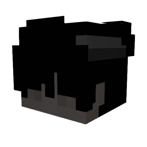 _hoxy Minecraft avatar head, 3D render