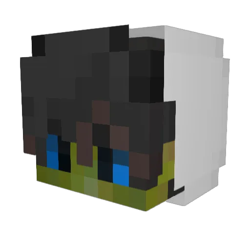 _iBORPE_ Minecraft avatar head, 3D render