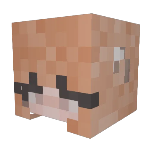 _iEnVy_ Minecraft avatar head, 3D render