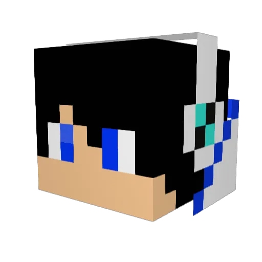 _iF5 Minecraft avatar head, 3D render