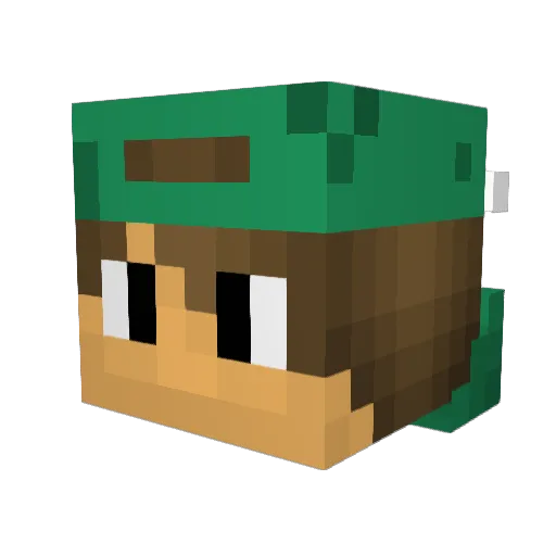 _iLunix_ Minecraft avatar head, 3D render
