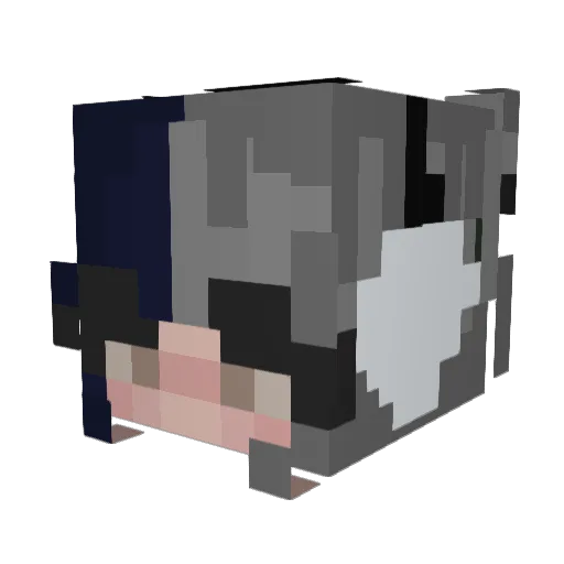 _iPaulette Minecraft avatar head, 3D render