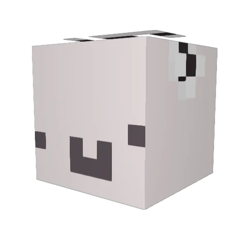 _iTaquito Minecraft avatar head, 3D render