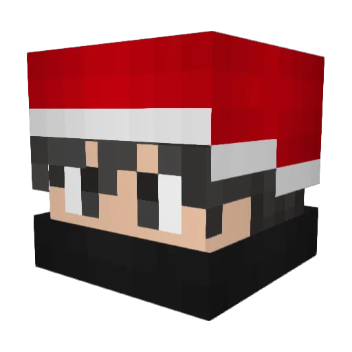 _iTomer_ Minecraft avatar head, 3D render