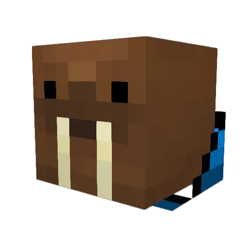 _i_am_a_walruses Minecraft avatar head, 3D render