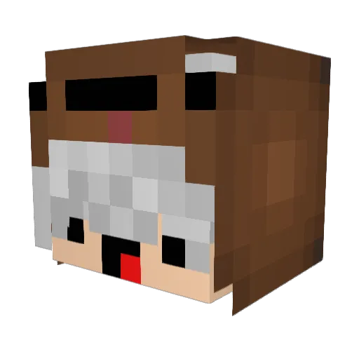 _icecola_ Minecraft avatar head, 3D render