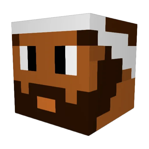 _iiiFroZe_ Minecraft avatar head, 3D render