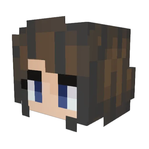 _ikwhoim__ Minecraft avatar head, 3D render