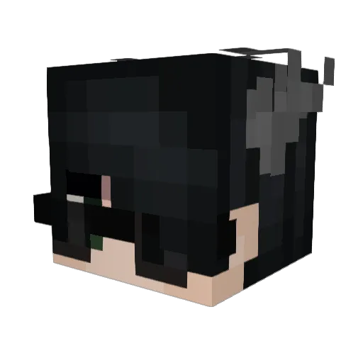 _illu_ Minecraft avatar head, 3D render