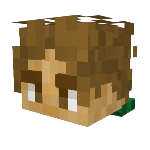 _iluxe1337 Minecraft avatar head, 3D render