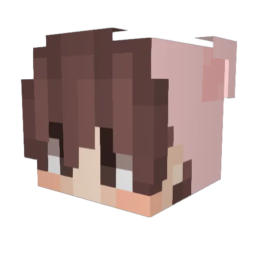 _imRev Minecraft avatar head, 3D render
