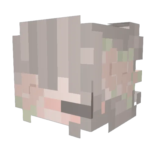 _indxe Minecraft avatar head, 3D render
