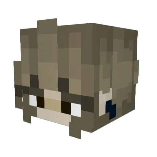 _infinity8 Minecraft avatar head, 3D render