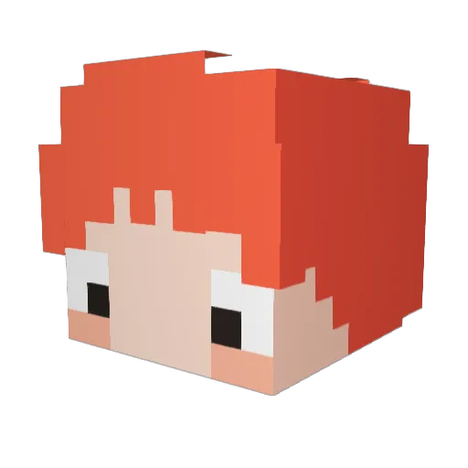 _io__ Minecraft avatar head, 3D render