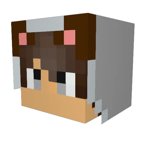 _irony_ Minecraft avatar head, 3D render