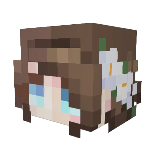 _irtje_ Minecraft avatar head, 3D render