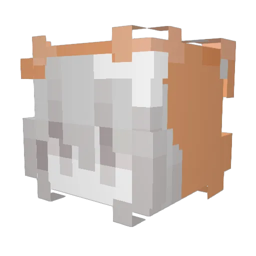 _iwontmeow Minecraft avatar head, 3D render