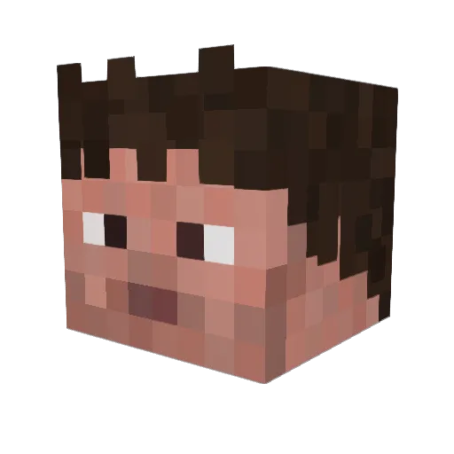 _j_________ Minecraft avatar head, 3D render