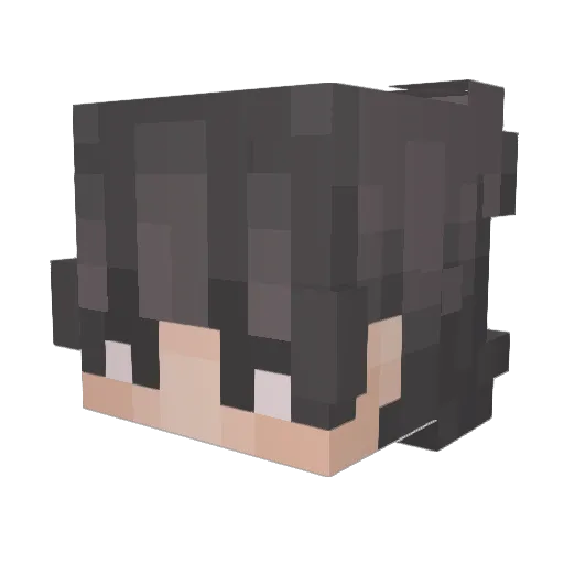 _jacksonn Minecraft avatar head, 3D render