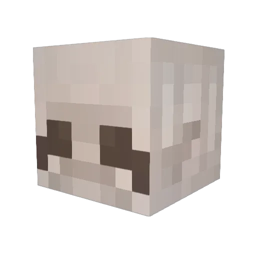_jaimelee_ Minecraft avatar head, 3D render