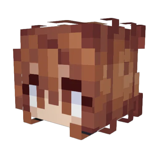 _jakeeb Minecraft avatar head, 3D render