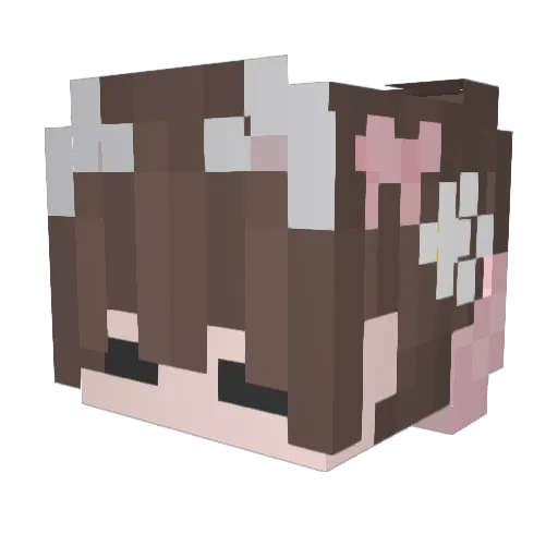 _janSo Minecraft avatar head, 3D render