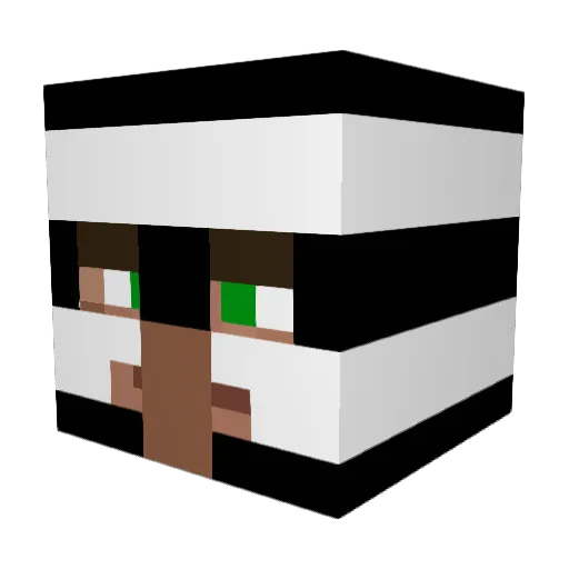 _jannnnn_ Minecraft avatar head, 3D render
