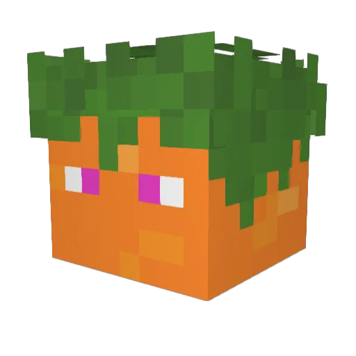 _jaundice Minecraft avatar head, 3D render