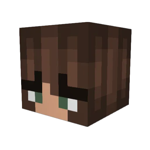 _jbug16_ Minecraft avatar head, 3D render