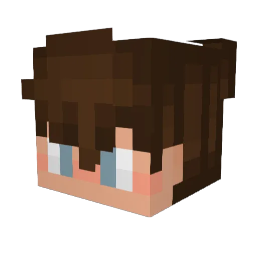 _jeppa Minecraft avatar head, 3D render