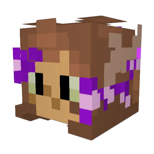 _jesslovescats_ Minecraft avatar head, 3D render