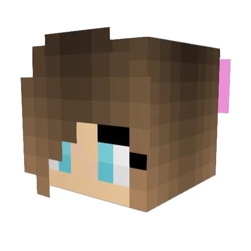 _jjungkook Minecraft avatar head, 3D render