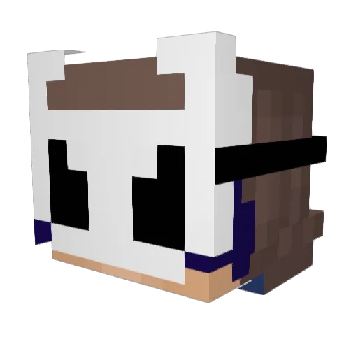 _jnk Minecraft avatar head, 3D render
