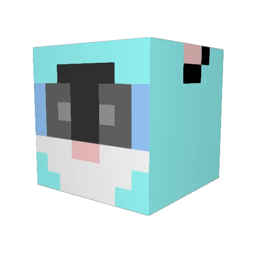 _joa Minecraft avatar head, 3D render