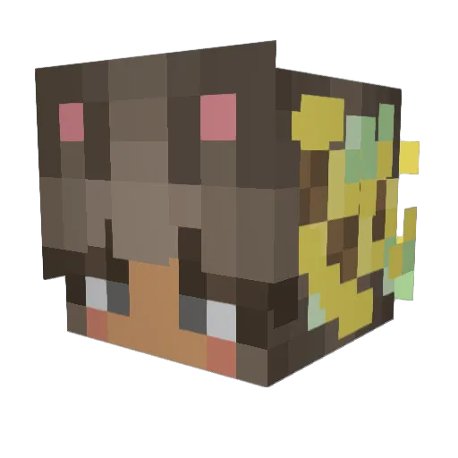 _joynana_ Minecraft avatar head, 3D render