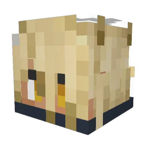 _jpn__ Minecraft avatar head, 3D render