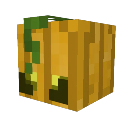 _junglediff_ Minecraft avatar head, 3D render