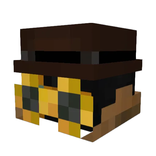 _junk_bot_ Minecraft avatar head, 3D render