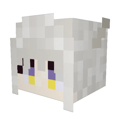 _junkin Minecraft avatar head, 3D render