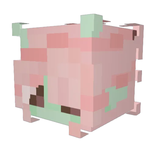 _jurgz Minecraft avatar head, 3D render