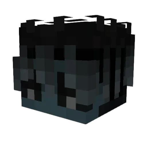 _k4l0x Minecraft avatar head, 3D render