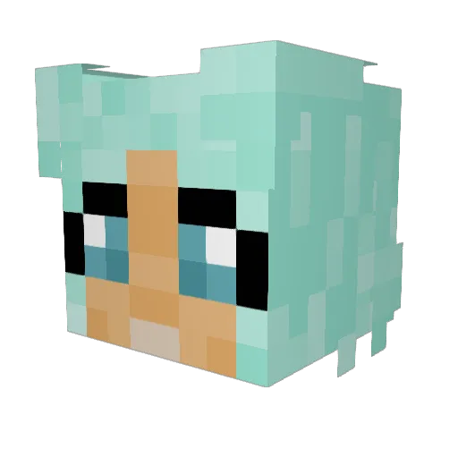 _kamiclia Minecraft avatar head, 3D render