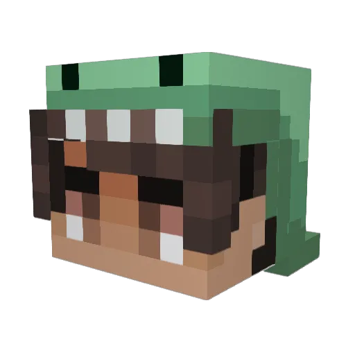 _kayles Minecraft avatar head, 3D render