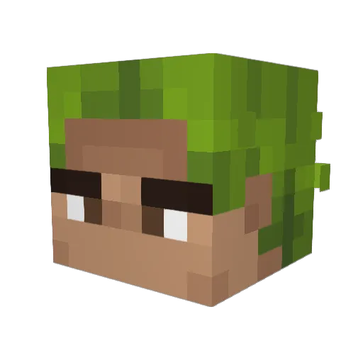_kcor_ Minecraft avatar head, 3D render