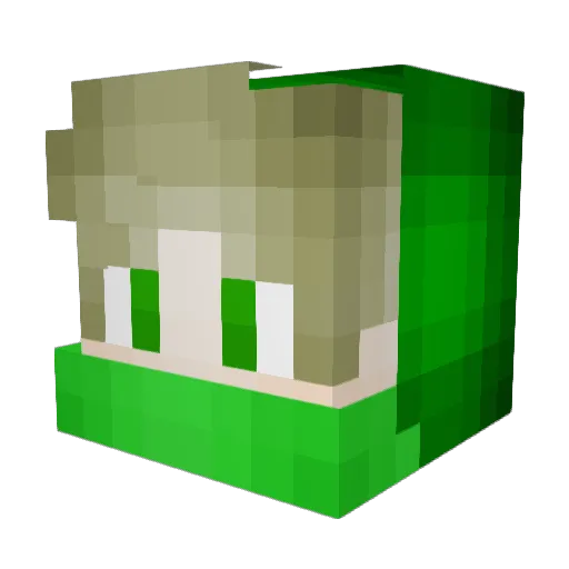 _kitniks_ Minecraft avatar head, 3D render